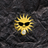 sunbrilliance